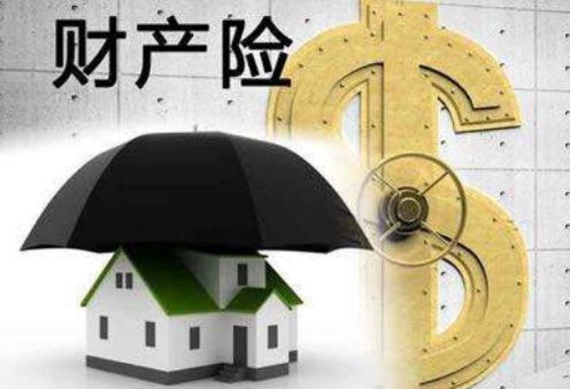 疫情时代，旅游险如何成为旅途中的守护者？